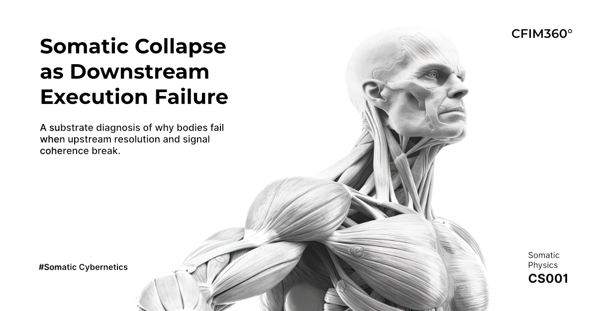 Somatic Physics — Case Studies